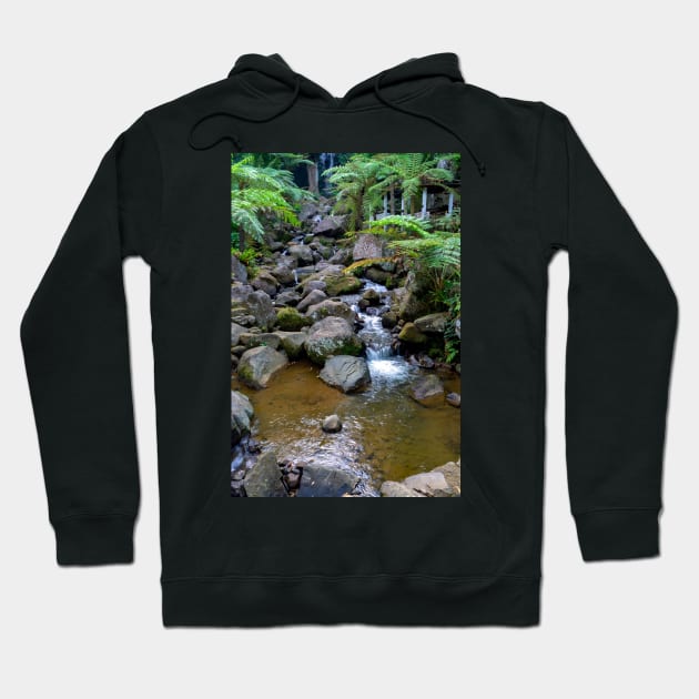Philippine Highlands - Negros Occidental Hoodie by likbatonboot